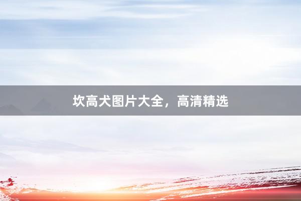 坎高犬图片大全，高清精选