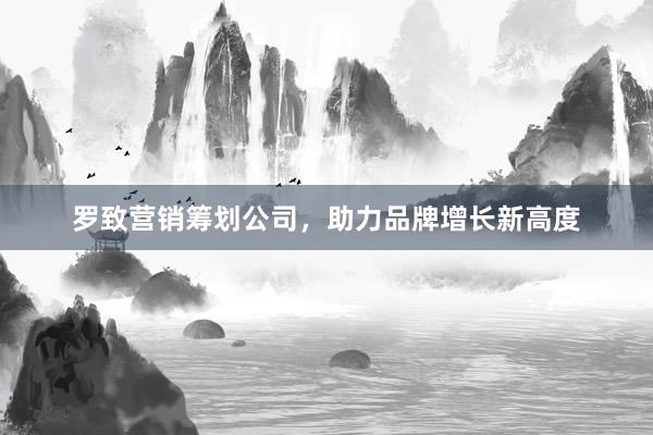 罗致营销筹划公司，助力品牌增长新高度